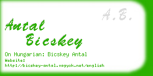 antal bicskey business card